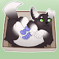 [C] Numbnutz