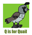 Q is for Quail Parody #1 - Quail (Gravity Falls)