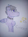 Crescent🌙 by Seblynx