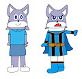 Sora the Grey Wolf As Mystic Force Blue Ranger