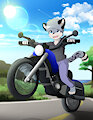 Vroom Vroom