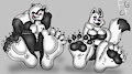 xavier n Bellas Paws