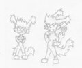 Flame the cat
