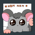 Nunya Icon