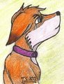 Old: please dont leave me by nokiakiller