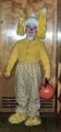 First Fursuit/Costume