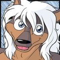 Whitehair Happy