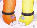 Two paws