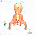 Tracero de zorro (Patreon release) by Yordraw