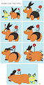 Sparks and the tepig