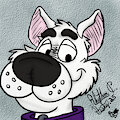 New Profile Pic 3-29-25