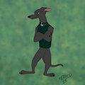 Disappointed hound