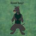 Good boy