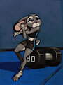 Judy Hopps Gym by dayforsay