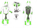 My personal ref (minus one tail) by Cosmickitsune