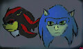 Shadow & Sonic - By RachelTheFictionkin