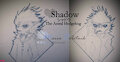 Shadow the Astral Hedgehog - By RacheTheFictionkin