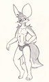 Fennec Briefs by Simonov