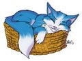 ZzzZZZZZzzzzzZZ...