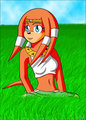Tikal the Echidna