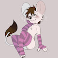 Socks by PlumVaguelette