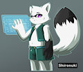 Digital Tanuki by Ainis