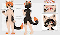 Mochi Reference Sheet 2025
