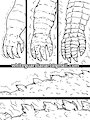 Gozilla TF Comic page 10