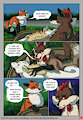 Knots in One Basket 46