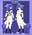 Tojami Reference Sheet by Seindrak