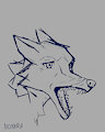 Some sketches