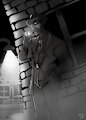 NOIR