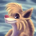 IDK by Vitani