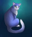 Me by Taasla by Fritti