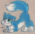 Me by Morgie
