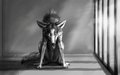 Beyond Sanity by LostWolfSpirit