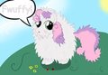FwuffyBelle! by KinkyCelestia