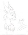 Drake by DJhunter408