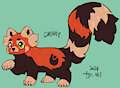 Cherry the red panda