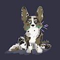 Corgi by Tailel