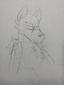 My first post sketch by OzzyFennec