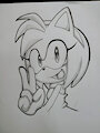 Amy Rose by Poccipol