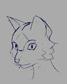 Cats!