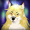 Curious ~Icon