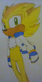 Sunshine's Redesigned Super Form by SonicAnon