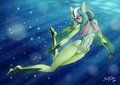 COMMISSION - Mutio