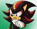 Why by Fizzical