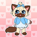 Olivia the Himalayan Kitty