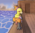 [C] Autonym by InvalidNickname