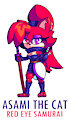 Asami's new design